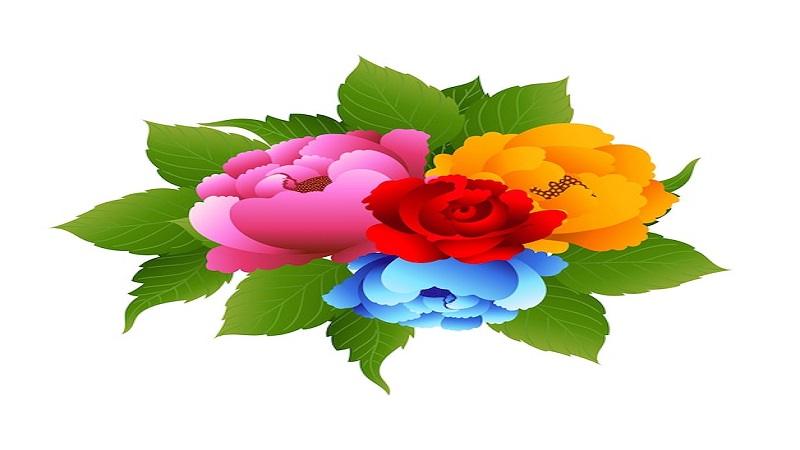 clipart:5ftz0amu-rq= flowers